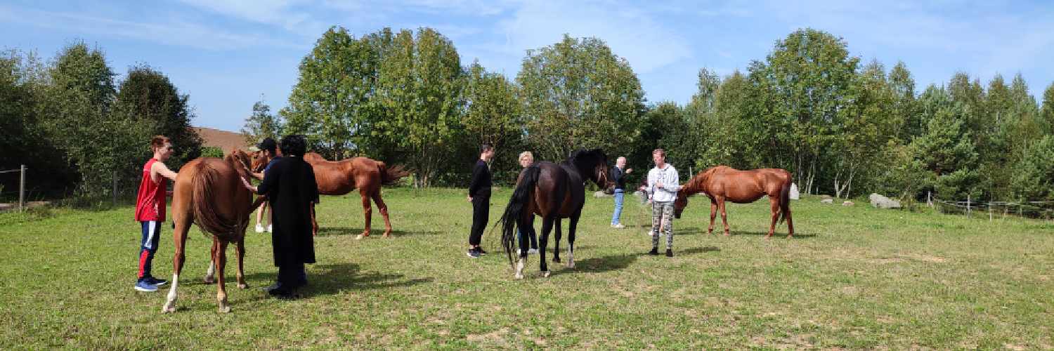 Nuotraukos pavadinimas
